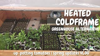 GROW A HUGE GARDEN WITHOUT A GREENHOUSE | HEATED COLDFRAME | DOUBLE TOMATO PLANTS BY DOING THIS!