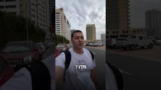 Зачем я просыпаюсь в 7 утра