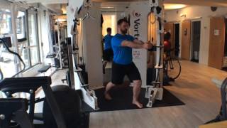 Split-Stance Pallof Press Isometric Hold