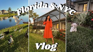 December Days In Florida // VLOG // BeingDaphne