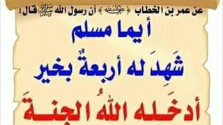 قصة إنها كانت || مقتطف من برنامج قصة مع حبيبي  فضيلة د/ محمد الحسانين