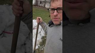 Homesteading Life | Maple Sap On Ice! #farming #shorts #homesteading #farmlife #diy #spring #cow