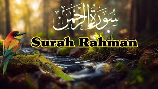 Surah Rahman Beautiful Tilawat e Quran | سورۃ رحمن | Tibyan Tv Ep131