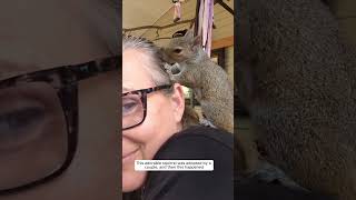 This adorable squirrel was adopted by a couple, and then this happened #animalshorts