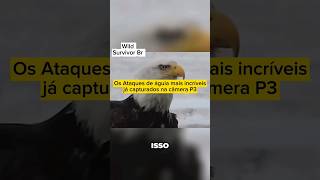 Os Ataques de águia mais incríveis já capturados na câmera p3 #vidaselvagem