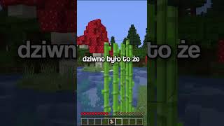 NAJWIĘKSZY GRZYB MINECRAFT