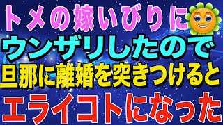 【スカッとする話】トメの嫁いびりにウンザリしたので、旦那に離婚を突きつけると、エライコトになった。【スカッとハレバレ】