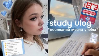 готовлюсь к егэ 2024 *help* | 11 класс | study with me