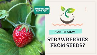 🍓 How to Grow Strawberries from Seeds: A Beginner's Guide