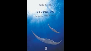 STUPENDO  Un viaggio lungo un sogno di Tullio Toriello - Monetti Editore