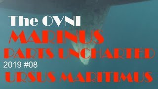 Parts Uncharted 2019 #08  Marinus Ursus Maritimus, the OVNI