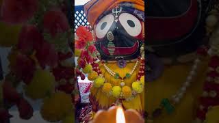 Jay Jagannath @Bath, Uk