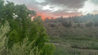 Strings in the Woods at Santa Fe Canyon with Cellist at Gorgeous Sunset