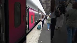 Gare de Lyon - finding coach and seat. Ignore first few seconds of this Live attempt.