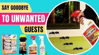 What Is The Most Effective Ant Repellent? Keep Your Home Ant-Free Forever