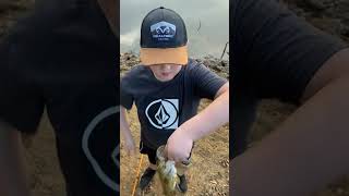 First fish for Bassninja Julian #fishing #outdoors #shorts #fish #fun #family #subscribe #adventure