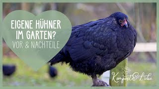 🐔 Eigene Hühner? 🐓 Vor und Nachteile | Hühnerhaltung für Anfänger u. Einsteiger | Selbstversorger