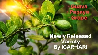 Newly Released Variety (ICAR -IARI) Il Central Variety Release Committee Il Guava Papaya Grape