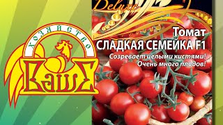 Томат Cладкая семейка