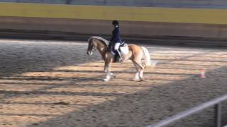 NOVICE AMATEUR HUNT SEAT EQUITATION. IAF 6816