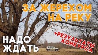 За жерехом весной. Осталось подождать совсем не много.