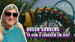 Como é o Busch Gardens em Tampa (Flórida)