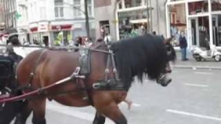 Horse & Carriage Amsterdam 2009