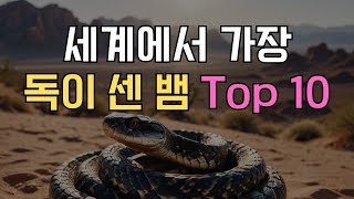 세계에서 가장 독성이 강한 뱀 Top 10