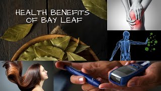 5 Amazing Health Benefits of Bay Leaves