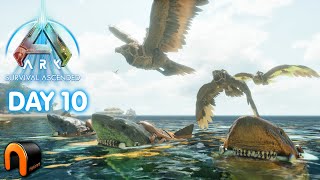 TAMING SHARKS AND BIRDS Ark Survival Ascended Island DAY 10 LIVE!