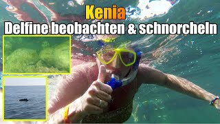 Delfine beobachten und schnorcheln am Watamu Beach Kenia