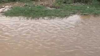 Polluted river , Lalitpur , Nepal.