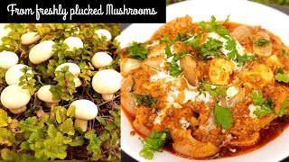 mushroom do pyaza recipe | mushroom do pyaza | mushroom curry | मशरूम दो प्याजा | मशरूम की रेसिपी