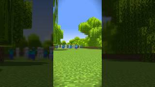 #minecraft #mem #animation