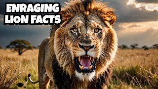 20 Facts About Lions That Will ENRAGE You