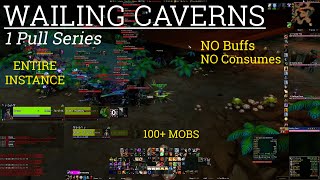 Paladin AoE / One-Pulling Classic / Wailing Caverns / 100+ Mobs / JUST GEAR / Classic WoW