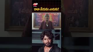 దావా వేయడం ఎందుకునాగార్జునపై నారాయణ సంచలన కామెంట్స్