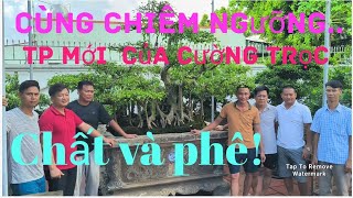 Anh em ngắm TP mới vườn bạn Cường trọc Ninh Bình