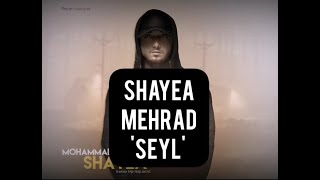 Shayea Ft Mehrad "Seyl" (LYRICS ON SCREEN)