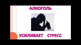 АЛКОГОЛЬ усиливает СТРЕСС, а НЕ СНИМАЕТ!!! Это показывает ЭЭГ / Фролов Ю.А. и Бутакова О.А.