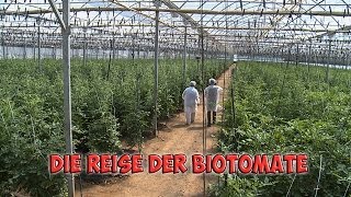 Die Reise der Biotomate