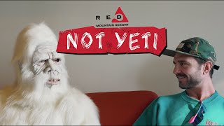 #NotYeti Friend Troubles