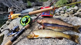 Catch, Cook and Camp!! SOLO Hunt for Trout in High Sierra!