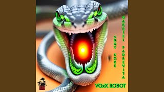 Voxx Robot (Original Mix)