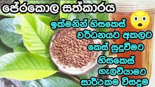 පේරකොල සත්කාරය😲#pera kola walin konde wawamu#guava leaf hair tonic#haircare#hairtreatment#hairtonic