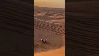 Sand boarding in the dunes of the Sahara desert