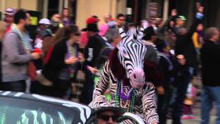 Daily News Mardi Gras Zany Golf Cart and Art Car Parade