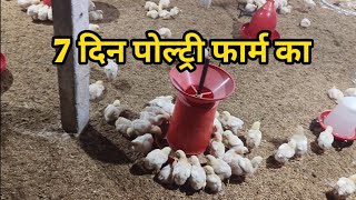 7 day poultry farm / 7 बा दिन फार्म का फूल अपडेट