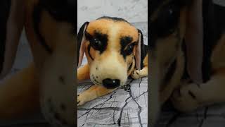 Animal song #dog #shorts #youtubeshorts #shortindia #animals