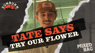 Try our Flower: Tate | Mixed Bag